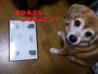 体脂肪計を新調