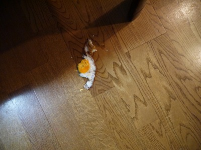 ふりまわされております(-_-;) ふりまわされております(-_-;)