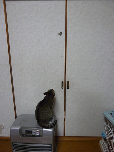 あたたかくなると・・・ あたたかくなると・・・