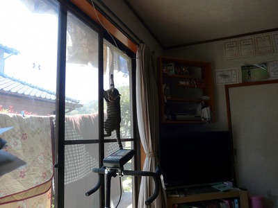 高校の入学式に行ってまいりました 高校の入学式に行ってまいりました