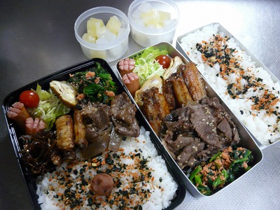 ななごんの災難 ななごんの災難