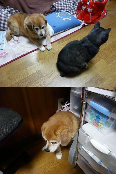 中学生活8年目かぁ・・・ 中学生活8年目かぁ・・・
