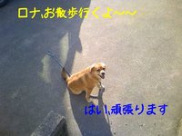 夏本番！！