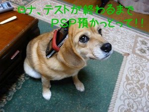 まさかのインフルエンザ