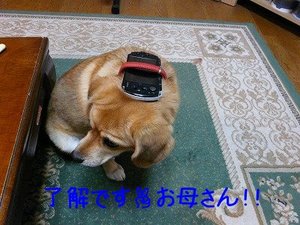 まさかのインフルエンザ