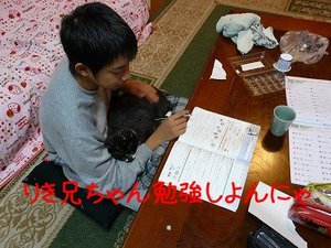 まさかのインフルエンザ