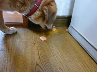 ロナ雑巾