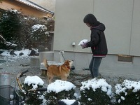 それでも雪で、はしゃいじゃう