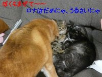 この三匹、仲がいいんだか悪いんだか