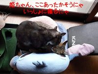 晴れたっ！！