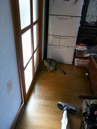 ドキドキなキッチン