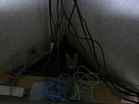 はまった！！