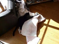 ぬくぬく・・・