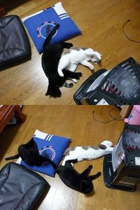 急に・・・