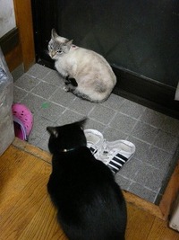 どうして・・・