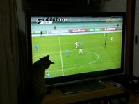世界から猫が消えたなら・・・を読んだ