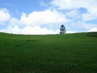山の風景③