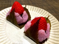 チューリップいちご桜餅