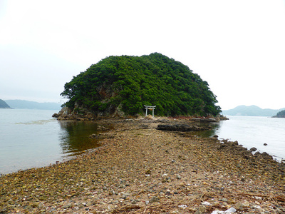 昨日は湯布院、今日は津久見へ