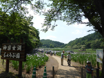 神楽女湖の菖蒲と志高