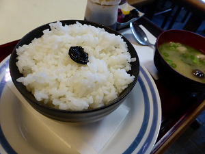 永楽☆菊池丼三種