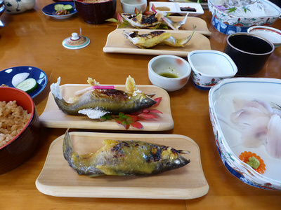 甲佐町やな場 甲佐町やな場
