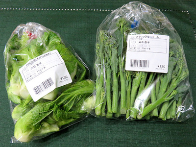 宮崎で買ったもの 宮崎で買ったもの