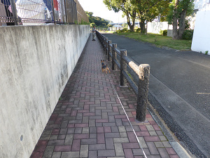 広川SA