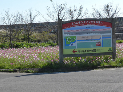 美味しいものを食べに佐賀へ