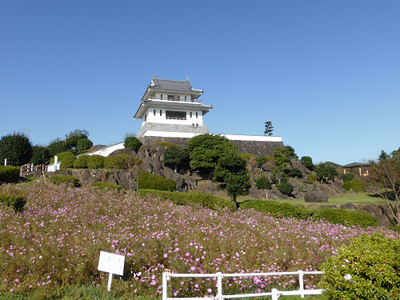 むつごろうを観察したりして佐賀から帰りました