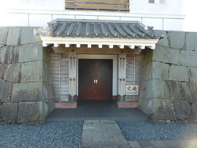 むつごろうを観察したりして佐賀から帰りました