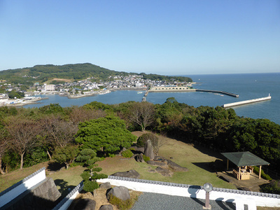むつごろうを観察したりして佐賀から帰りました