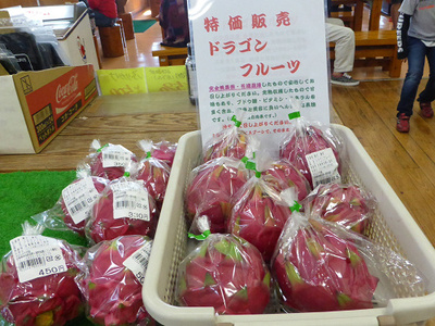 道の駅吉野ヶ里