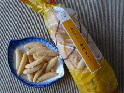 ホルトガーデンさんでランパスランチ