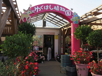 ゆくはし植物園