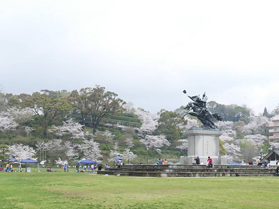 どこも桜は満開でお花見ドライブ♪ どこも桜は満開でお花見ドライブ♪