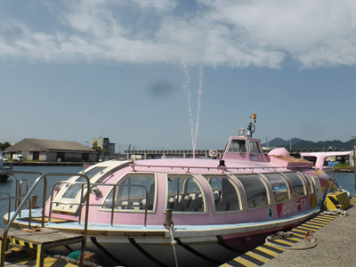 青海島遊覧 青海島遊覧