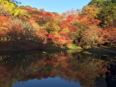 用作公園 用作公園