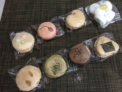 移転後のマメポワさんへ 移転後のマメポワさんへ