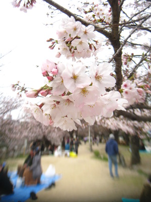 昨日の教訓