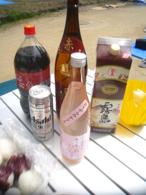 今年のお花見