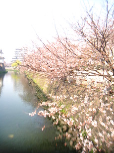 2011.4.1