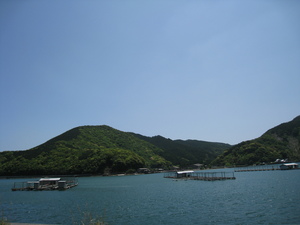 佐伯へGO