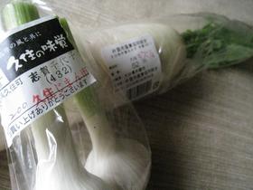 大分産の野菜たち