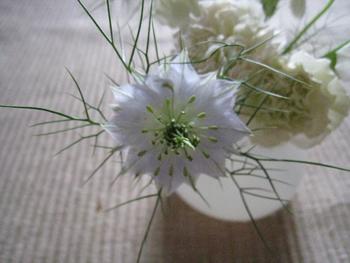 花で季節を感じる