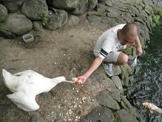 癒しタイム