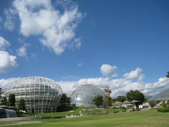 フルーツ公園