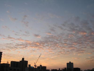 あっ、消えた！