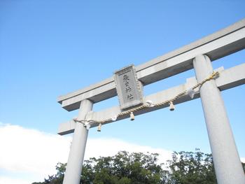 初詣とおみくじと。