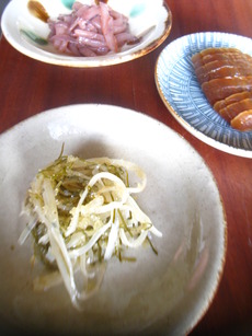 ２０１１年飲み始め